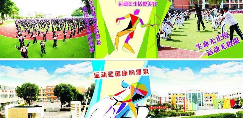 山东青少年体育三大球改革等3项标志性突破成果在全国“走在前”